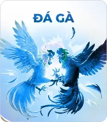 Cá cược đá gà